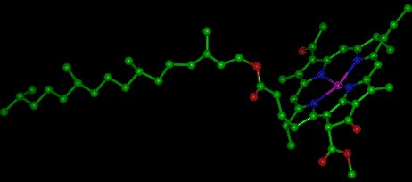 chlorophyll2