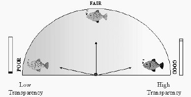 Figure 1. Low Water Transparency Influences Fish Health.
