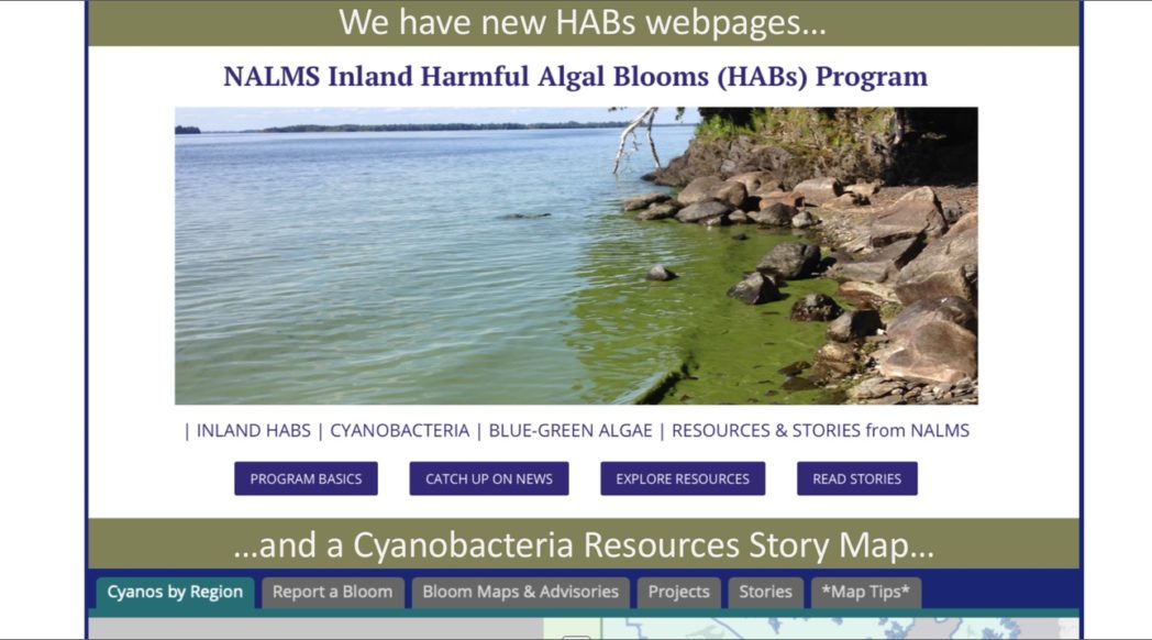 NALMS Inland HABs Poster - new webpages, a Story Map, and suggestions