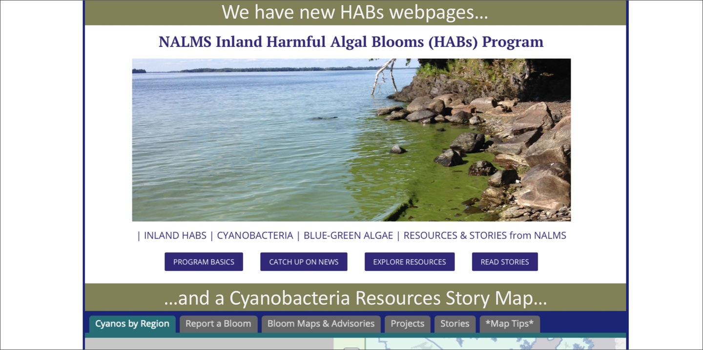 NALMS Inland HABs Poster - new webpages, a Story Map, and suggestions