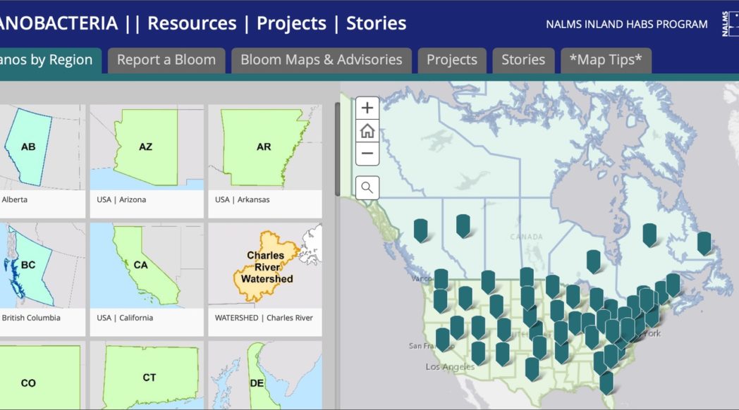 Cyanobacteria Resources of North America Story Map released by NALMS